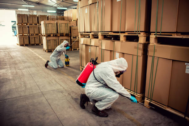 Best Ant Control Services  in Mahopac, NY