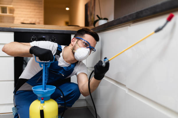 Best Commercial Pest Control Services  in Mahopac, NY