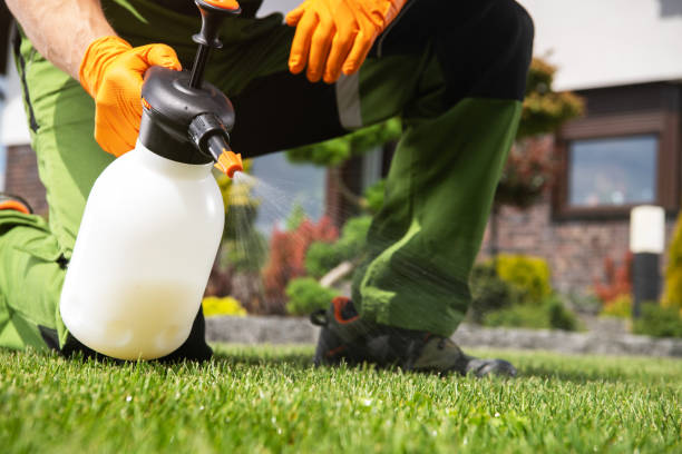 Best Wasp Removal Services  in Mahopac, NY