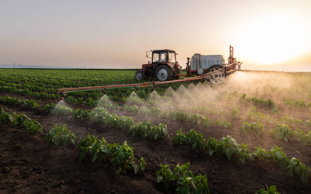Best Mosquito Control Services  in Mahopac, NY