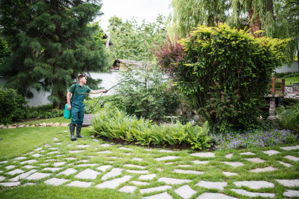 Insect Control in Mahopac, NY