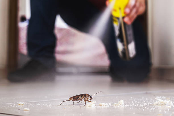 Best Exterminator Services  in Mahopac, NY