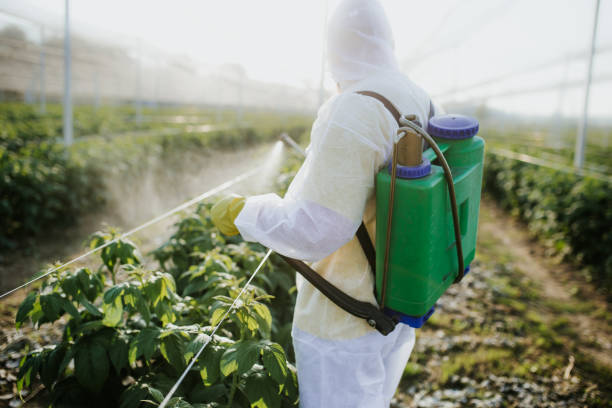 Trusted Mahopac, NY Pest Control Experts